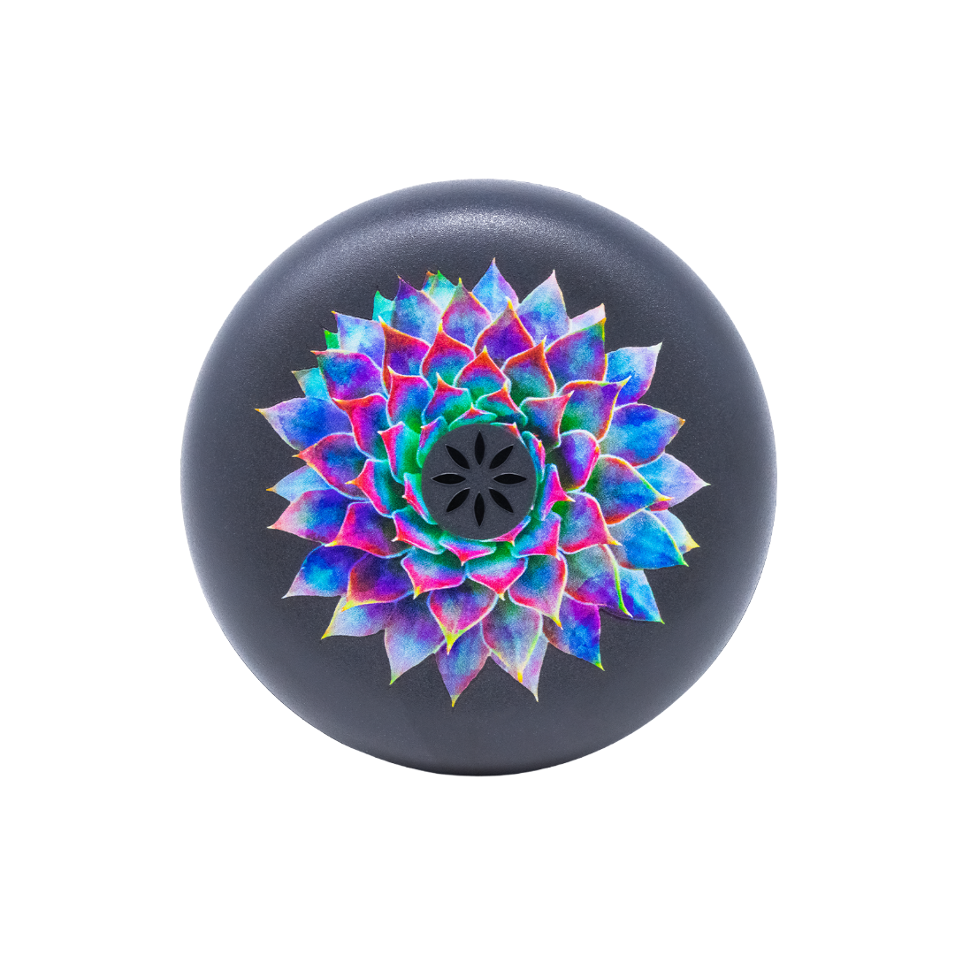 Succulent