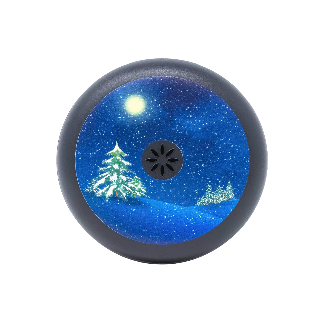 Winter Scene