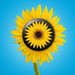 Invisalign™ Aligner Case Sunflower