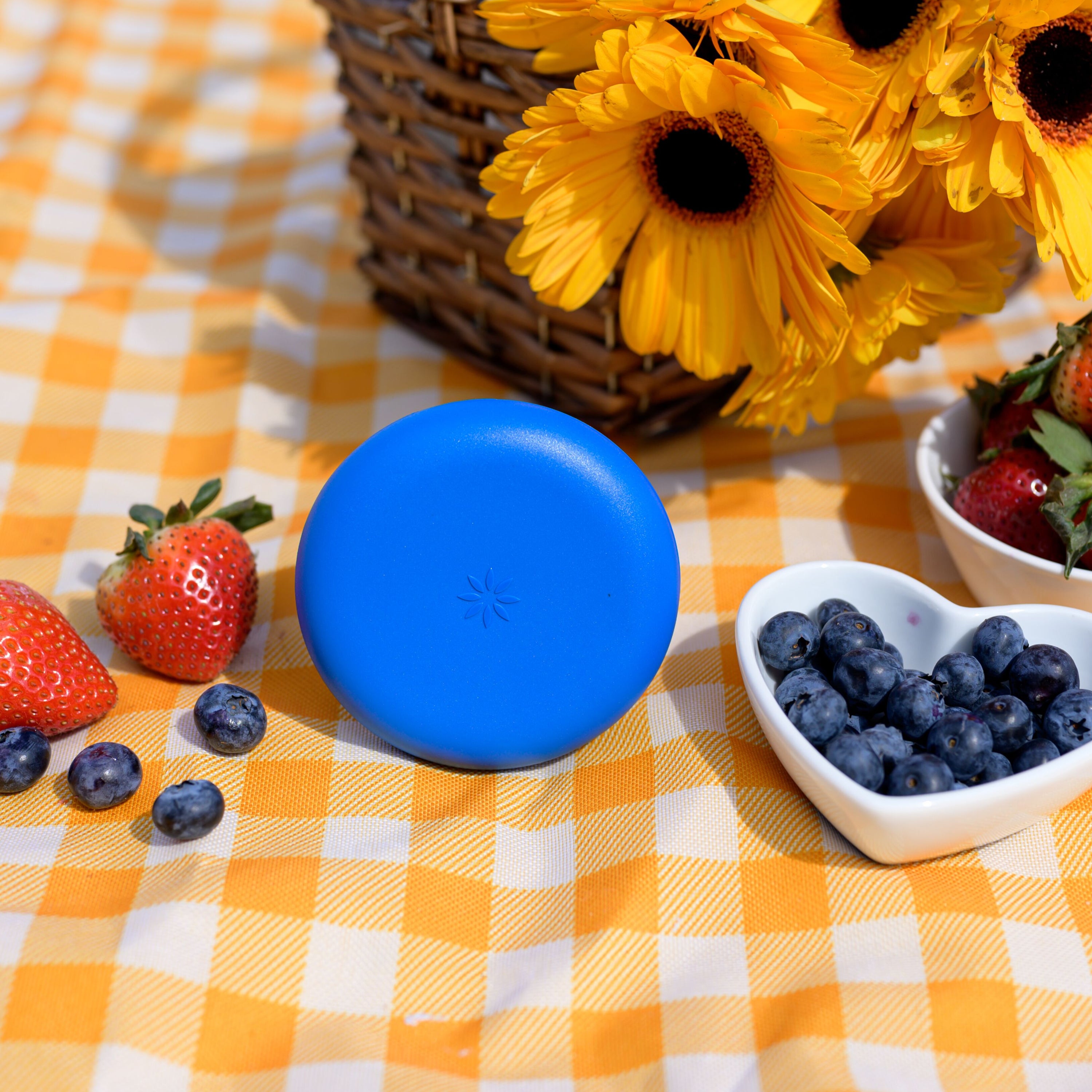 Invisalign™ Aligner Case Blue
