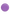 Invisalign™ Aligner Case Purple