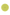 Invisalign™ Aligner Case Lime Green