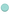 Invisalign™ Aligner Case Mint