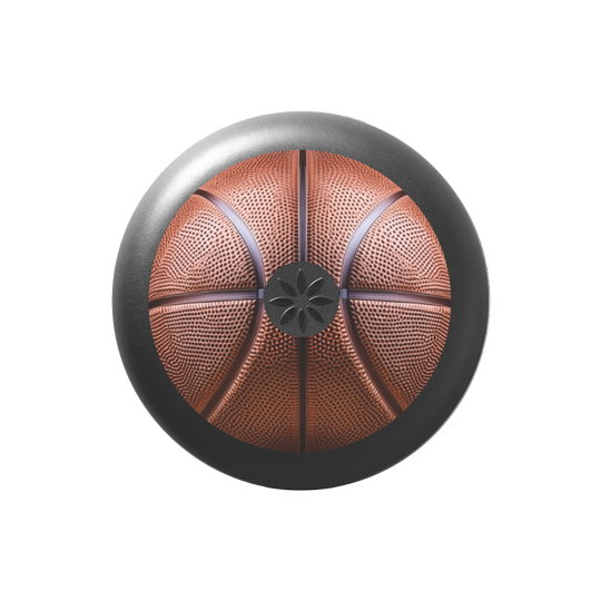 Invisalign™ Aligner Case Basketball