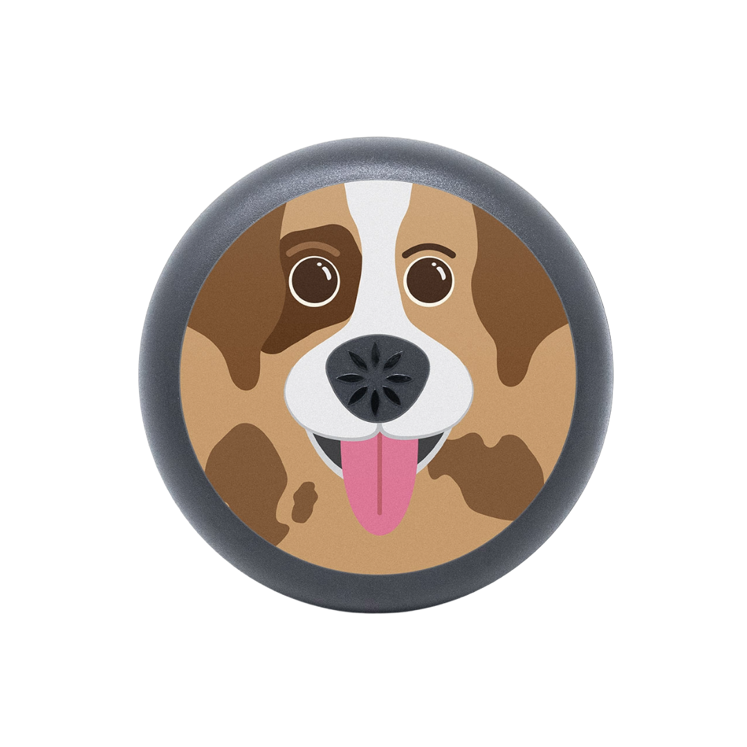 Brown Dog Aligner Case