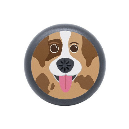 Brown Dog Aligner Case