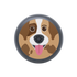 Brown Dog Aligner Case