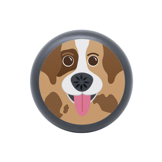 Invisalign Aligner Case Dog