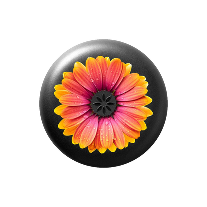 Orange Daisy