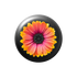 Orange Daisy