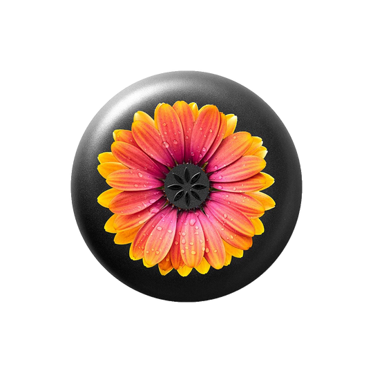 Invisalign™ Aligner Case Orange Textured Daisy