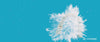 Invisalign Cleaning Crystals+ for cleaning aligners