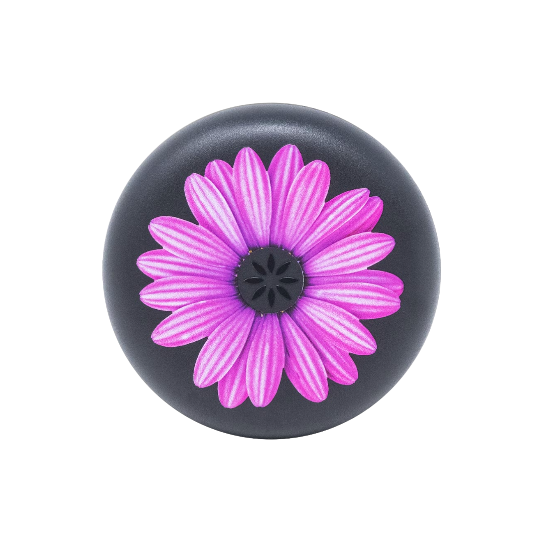 Purple Daisy