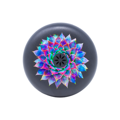 Succulent