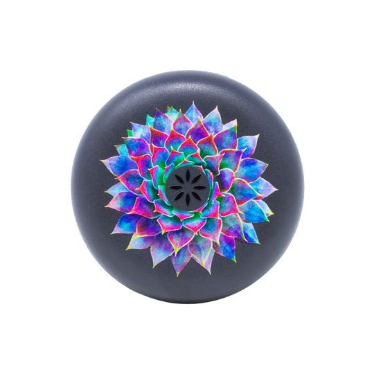 Invisalign™ Aligner Case Succulent