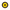 Invisalign™ Aligner Case Sunflower