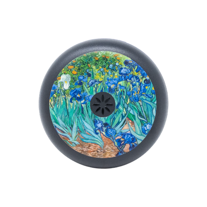 Van Gogh&