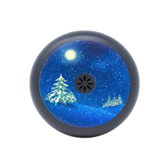 Invisalign Aligner Case Winter Scene